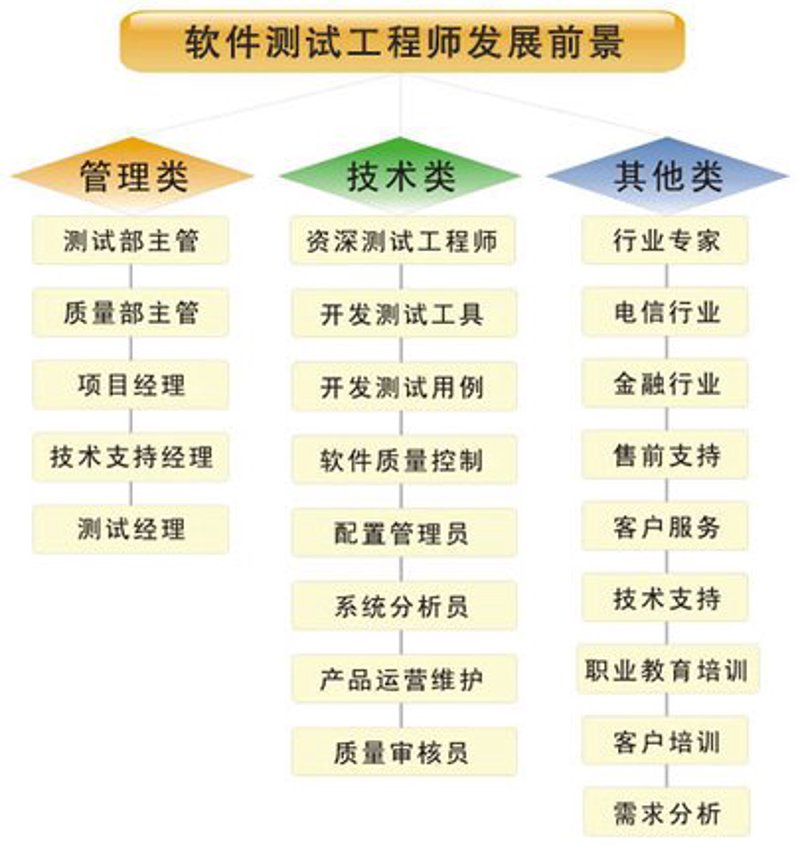 软件定制开发：构建企业数字化转型翅膀
