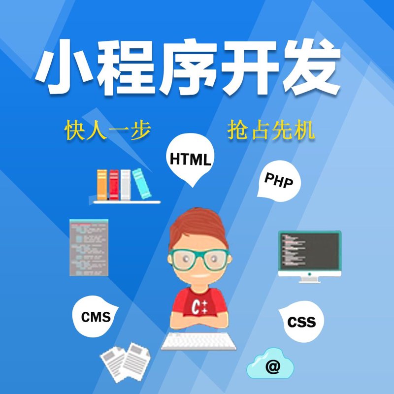 上海软件开发公司：引领技术革新，助力企业发展