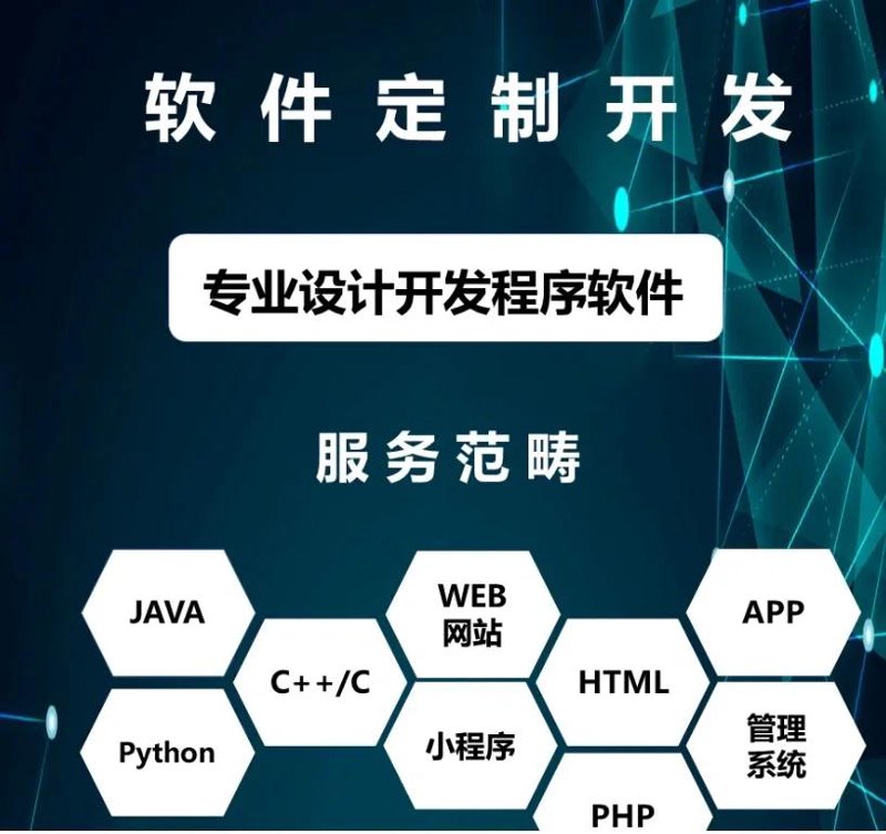 软件定制开发：企业数字化转型的重要桥梁