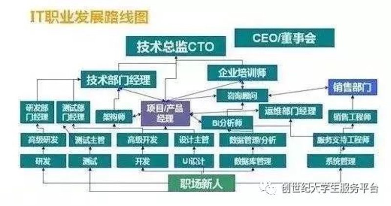 IT技术开发